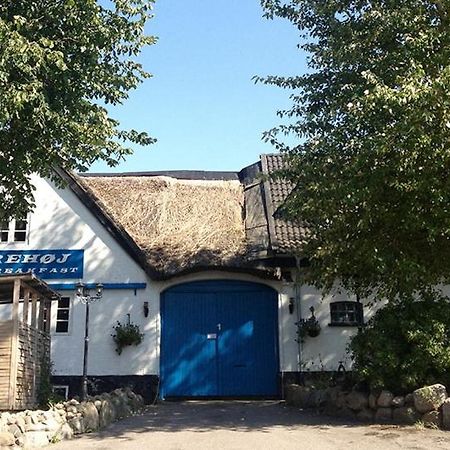 Eskebjerg Myrehoj Bed & Breakfast المظهر الخارجي الصورة