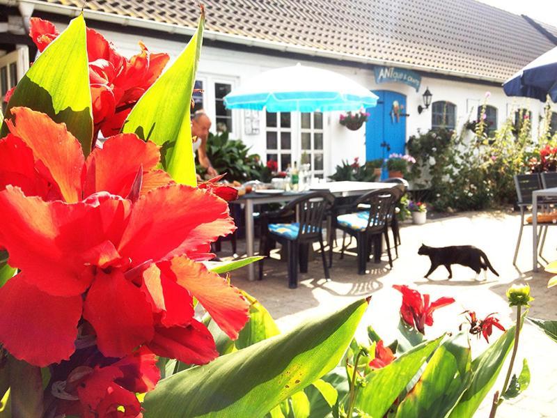 Eskebjerg Myrehoj Bed & Breakfast المظهر الخارجي الصورة